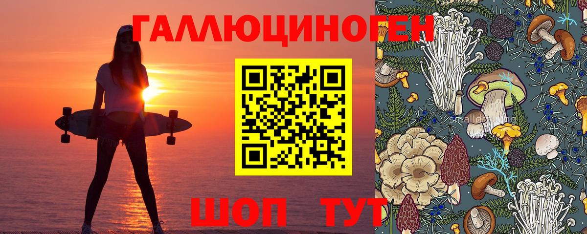 Сибай  Псилоцибиновые грибы Psilocybe  Вход с VPN  Псилоцибиновые грибы Cubensis 