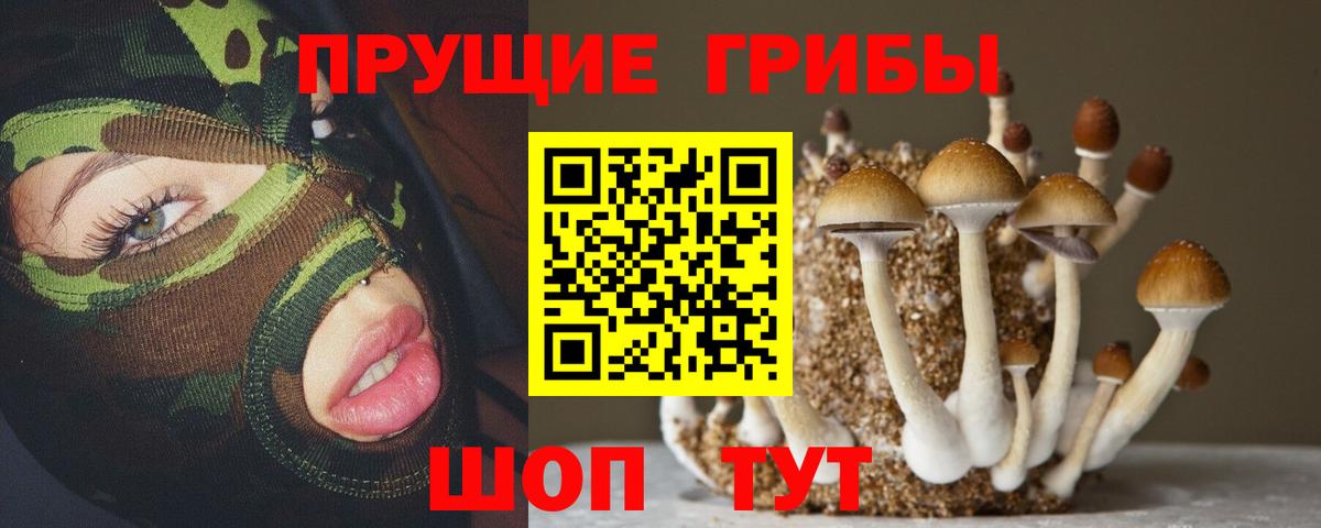Псилоцибиновые грибы прущие грибы Сибай